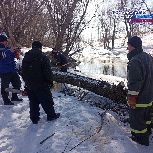 На реке Барнаулка краевого центра спасатели приводили в порядок русло и береговую линию