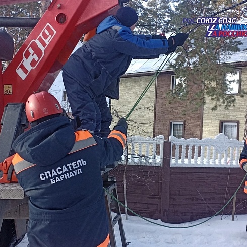 Спасатели АСФ города Барнаула 11 января 2024 года устранили угрозу обрыва электрического кабеля аварийным деревом