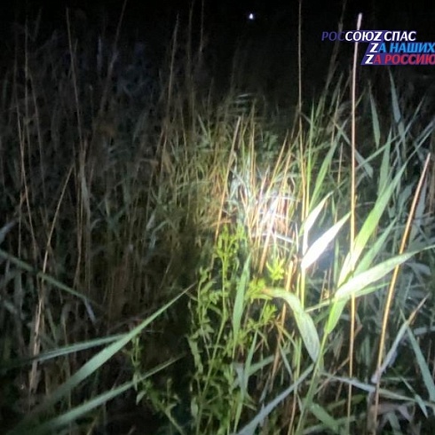 Спасатели АСФ города Барнаула в ночном поиске нашли и вывели потерявшегося мужчину из болотистой местности