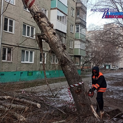 По территории Алтайского края 19 ноября 2023 года прошел сильный ураган. Спасательные и аварийные службы устраняют последствия стихии